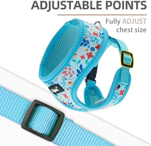 PUPTECK Small Dog Harness and Leash Set No Pull - Image 3
