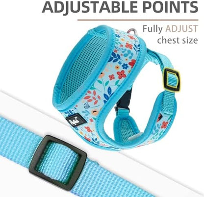PUPTECK Small Dog Harness and Leash Set No Pull - Image 3