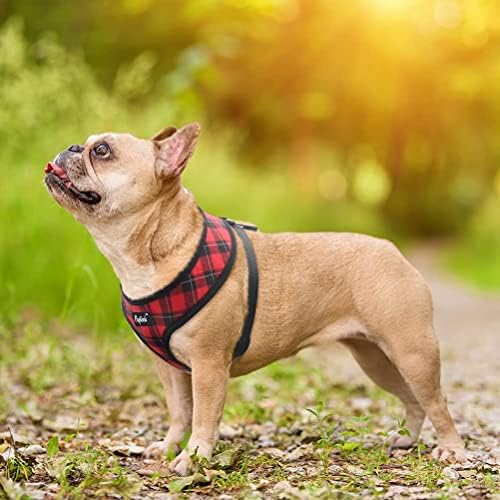 PUPTECK Small Dog Harness and Leash Set No Pull - Image 6