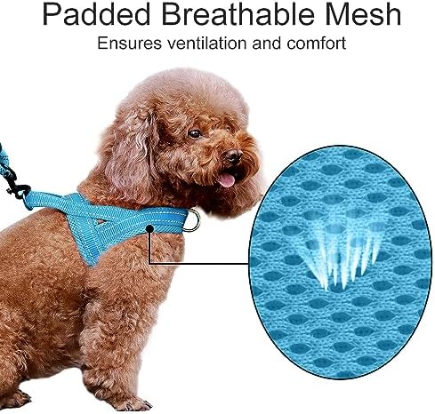 Plutus Pet No Pull Dog Harness for Small Dogs, Breathable Mesh Padded - Image 3