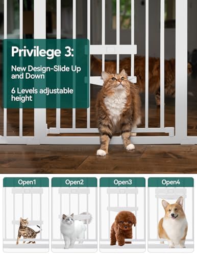 Babelio Dog Gate with Cat Door, CatPrivilege II - Image 2