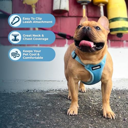 Voyager Step-in Flex Adjustable Dog Harness - Image 6