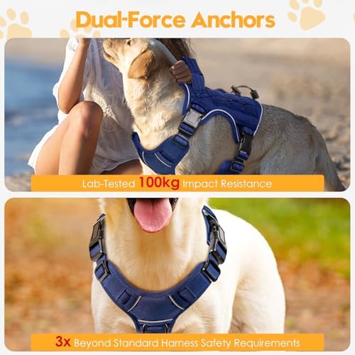 Heavy-Duty Tactical Dog Harness - Image 4