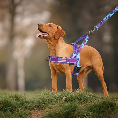 Annchwool No Pull Dog Harness - Image 5