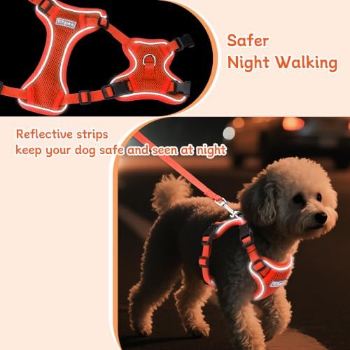 Small Dog Harness and Leash Set, Adjustable Small Sized Pet Vest - Image 4