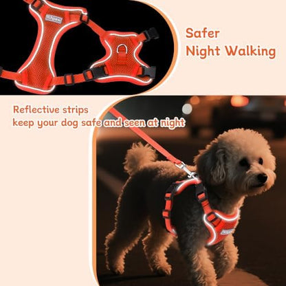 Small Dog Harness and Leash Set, Adjustable Small Sized Pet Vest - Image 4