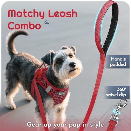Eagloo Small Dog Harness and Leash Set, Step in Small Sized Puppy Pet Vest - Image 6