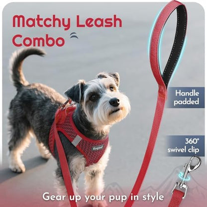 Eagloo Small Dog Harness and Leash Set, Step in Small Sized Puppy Pet Vest - Image 6