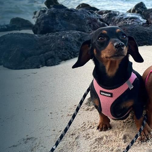 Voyager Step-in Air Dog Vest Harness - Image 2