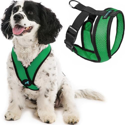 Gooby Comfort X Head-in Dog Harness, Choke-Free, Hunter Green by Gooby