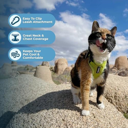 Voyager Step-in Lock Cat Harness & Leash Set - Image 5