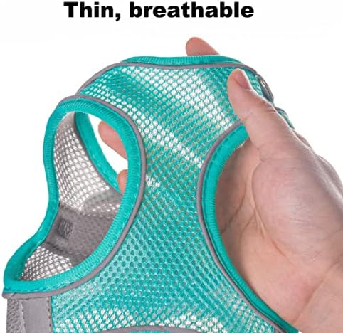 Puppy Harness for Small Dogs - Image 4