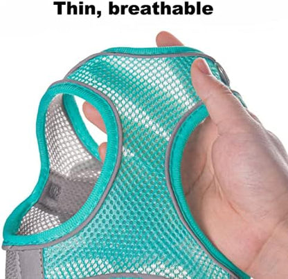 Puppy Harness for Small Dogs - Image 4
