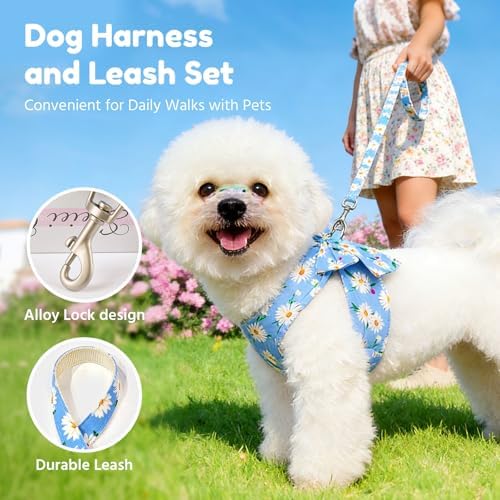 BAEJMJK Dog Harness and Leash Set - Image 7