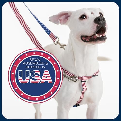 2 Hounds Design Freedom No Pull Dog Harness and Leash - Image 6