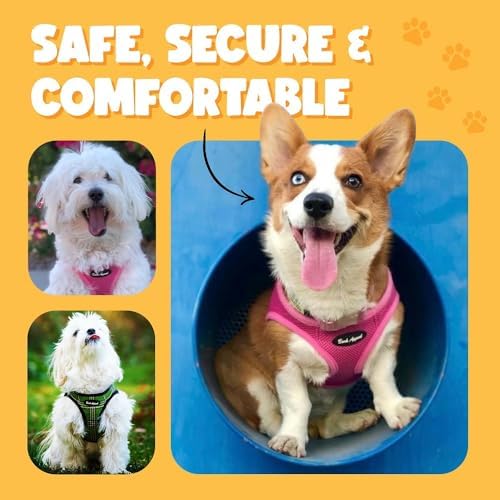 Bark Appeal Blue Hibiscus Step-in Dog Harness - Image 5