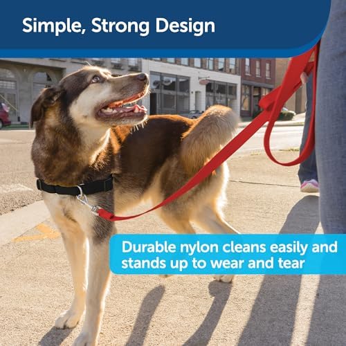 PetSafe Nylon Dog Leash - Image 4
