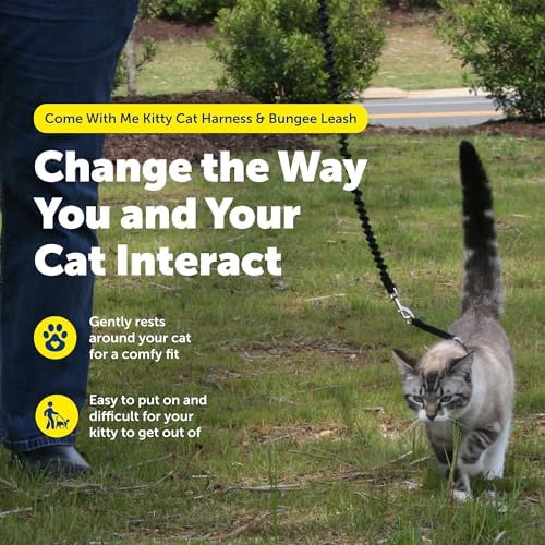 PetSafe Come With Me Kitty Harness and Bungee Cat Leash, LILAC/BRIGHT PURPLE - Image 3
