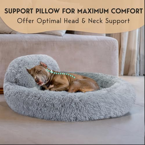 PetJett Dog Beds Large Sized Dog - Image 2