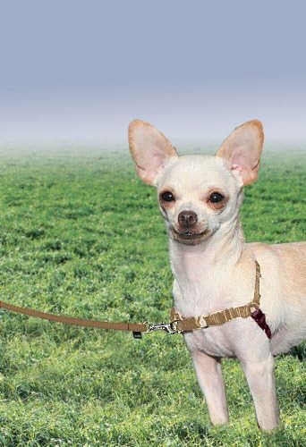 PetSafe Easy Walk No-Pull Dog Harness - Image 3