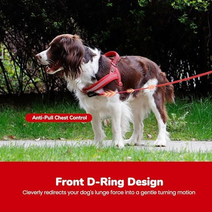 Didog No Pull Dog Harness for Medium Dogs, Breathable Mesh Padded - Image 5