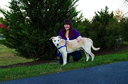 PetSafe Easy Walk No-Pull Dog Harness - Image 6
