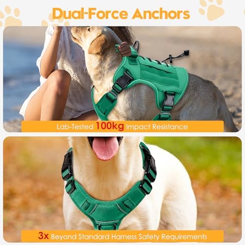 Heavy-Duty Tactical Dog Harness - Image 4