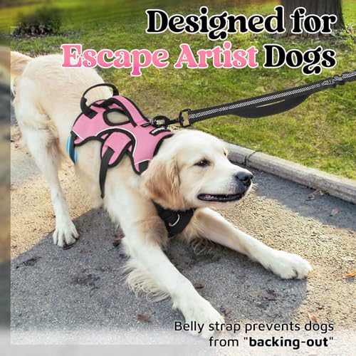 rabbitgoo Escape Proof Dog Harness - Image 2
