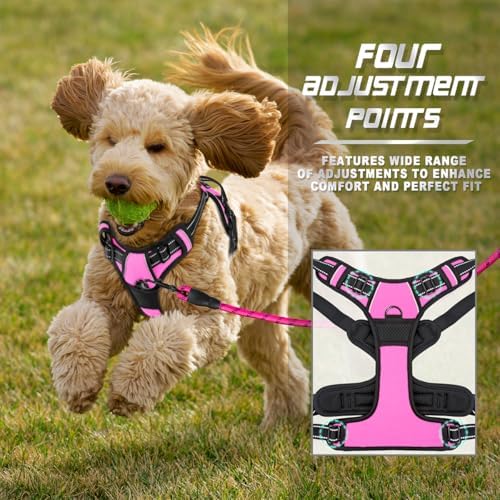 BARKBAY Dog Harness No Pull for Small Sized Dog Front Back Clips, Dog Vest - Image 6