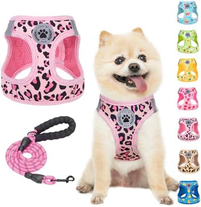 BEAUTYZOO Step in Dog Harness and Leash Set, Reflective Dog Harness No Pull No by BEAUTYZOO