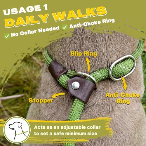 Fida Durable Slip Lead Dog Leash, 4 FT x 1/2" Dog Training Leash - Image 4