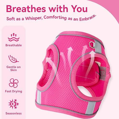 Dog Harness for Small Medium Sized Dog, Puppy Harness and Leash Set Training - Image 5