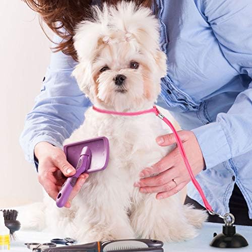 Frienda 4 Pcs Dog Bathing Tether - Image 5