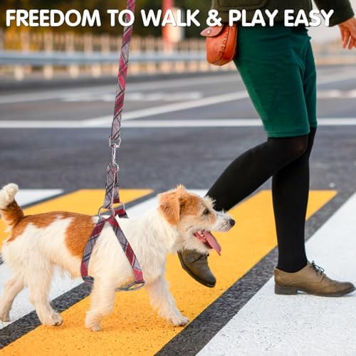 BINGPET No Pull Dog Harness Leash Collar Set, Adjustable Step-in Vest - Image 2