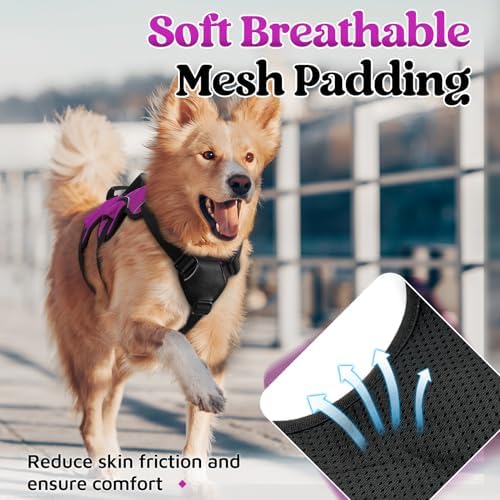 rabbitgoo Escape Proof Dog Harness - Image 5