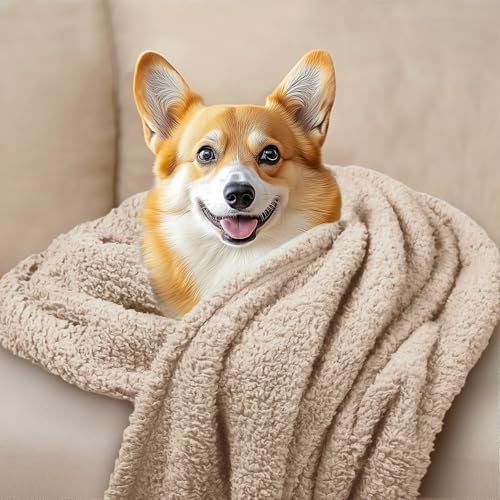 1 Pack 3 Calming Blankets Fluffy Premium Fleece Pet Blanket Soft Sherpa Throw - Image 6