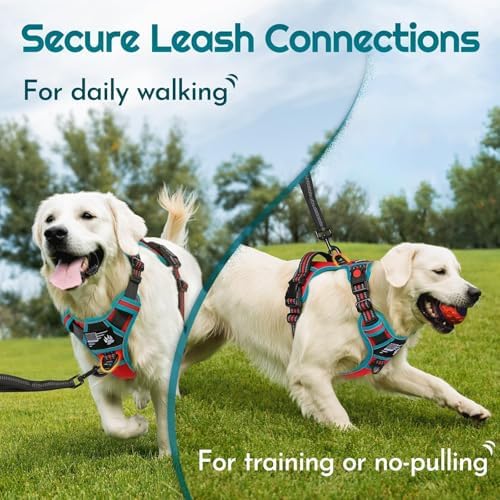 Eagloo Dog Harness No Pull for Small Dogs, Easy On & Off - Image 4