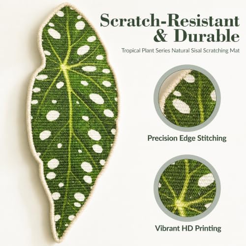 Natural Leaf-Shaped Sisal Cat Scratcher - Image 5