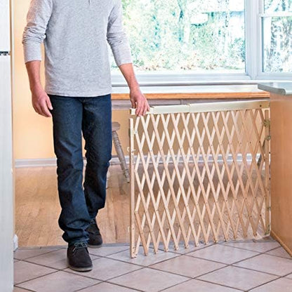 Evenflo Expansion Walk-Thru Room Divider Baby Gate - Image 6