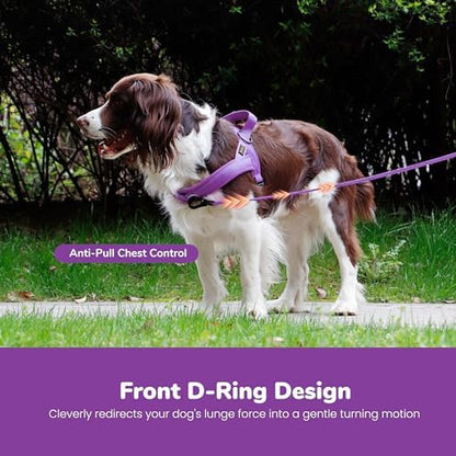 Didog No Pull Dog Harness for Small Dogs, Breathable Mesh Padded - Image 5