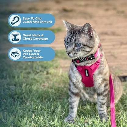 Voyager Step-in Lock Cat Harness & Leash Set - Image 5
