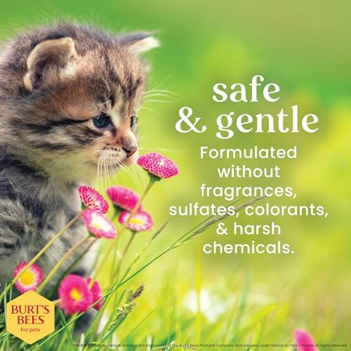 Burts Bees for Pets Kitten Grooming Wipes - Image 5