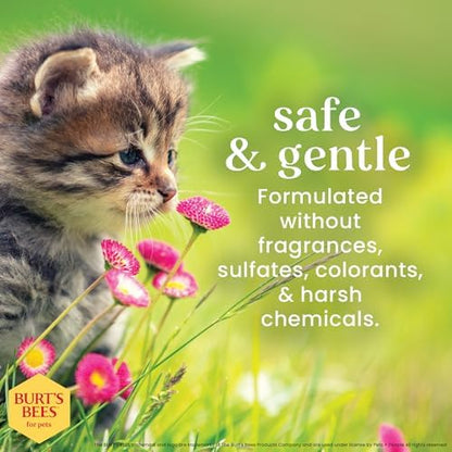 Burts Bees for Pets Kitten Grooming Wipes - Image 5