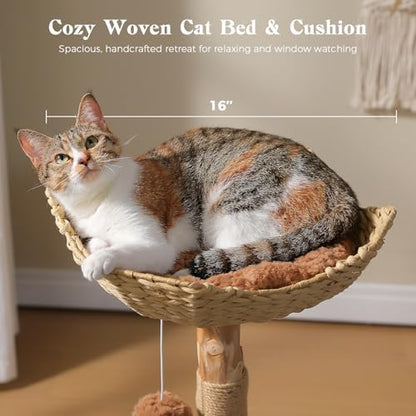 MUTTROS Modern Wood Cat Tree - Image 2