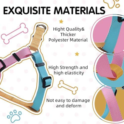 Blue Pink Tri-Color Small Dog Harness, Adjustable Step-in - Image 5