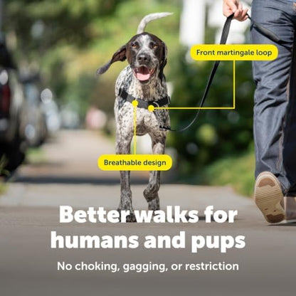 PetSafe Easy Walk Harness, No Pull Dog Harness, Medium/Large - Image 4