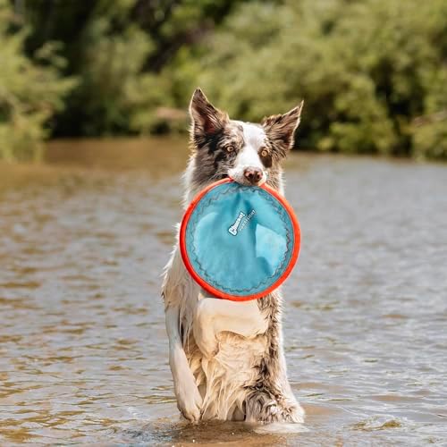 Chuckit! Paraflight Flying Disc Dog Toy, Size Large, 1 Pack - Image 2