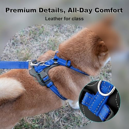 Plutus Pet No Pull Dog Harness - Image 2