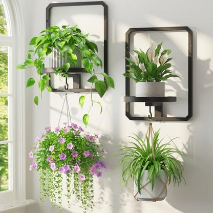 LASZOLA Plant Picture Frame Holder Shelf Wall Window Indoor by LASZOLA