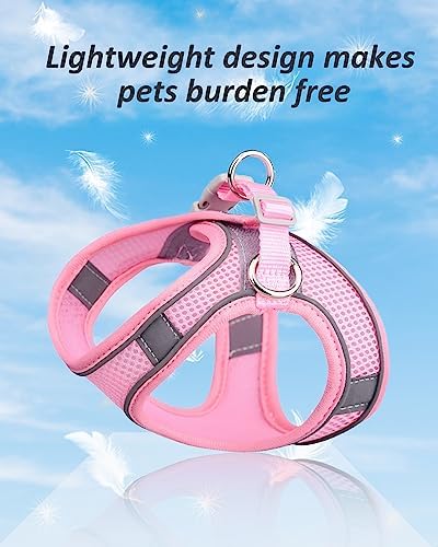 Solmoony Dog Harness for Small Medium Dogs No Pull, Puppy Harness and Leash Set - Image 3